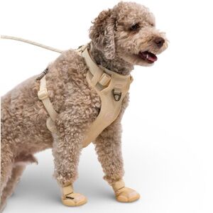 RIFRUF Caesar 1 bone (2 pairs)  4 dog shoes NEW original box